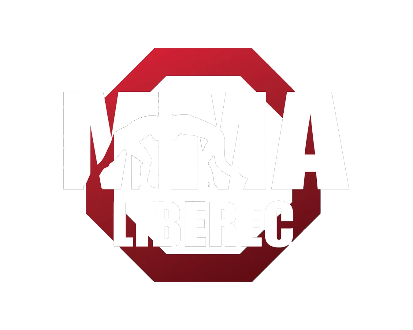 MMA Liberec